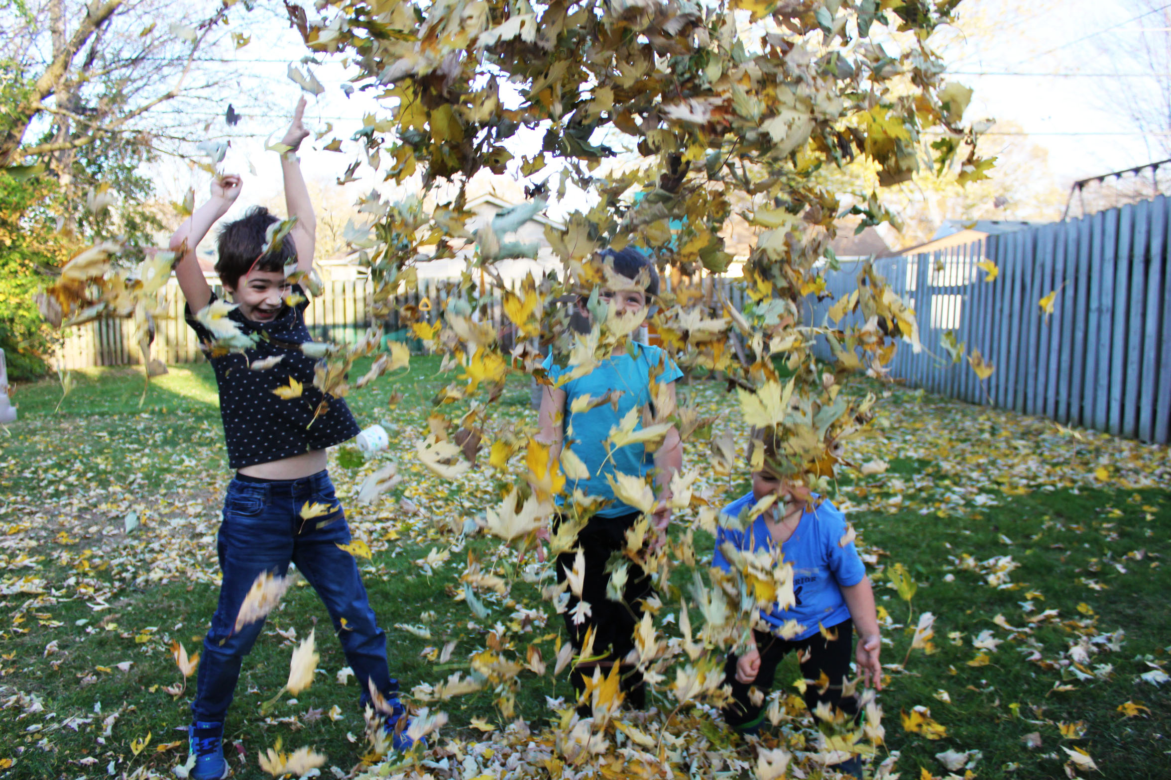 three homeschool boys throwing leaves into the air