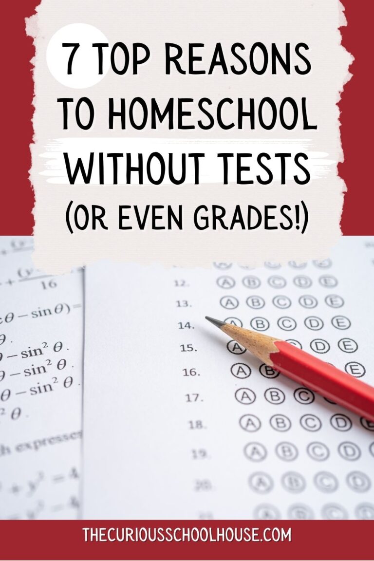 7 Top Reasons to Homeschool Without Tests (Or Even Grades!)