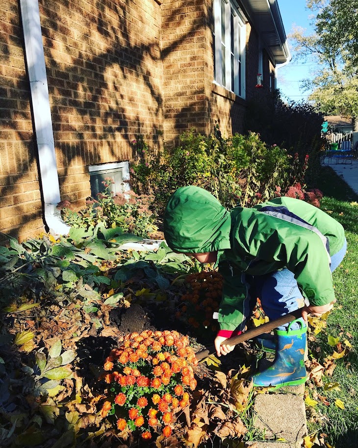 young boy digging in the garden with a shovel