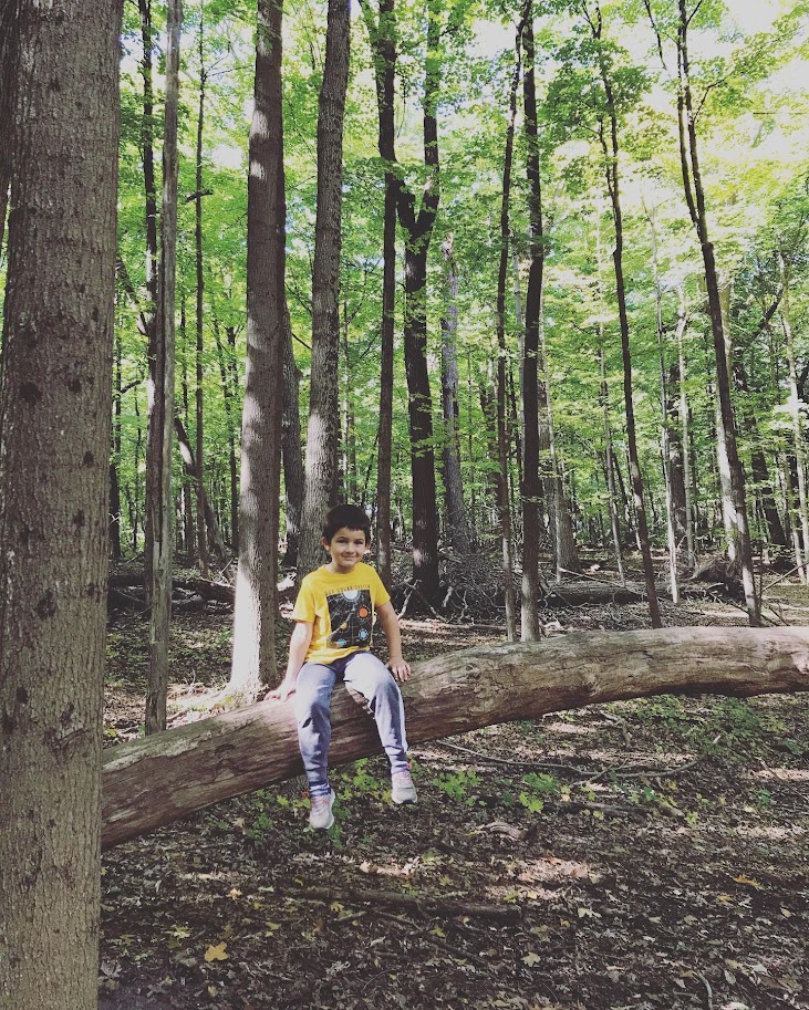 young boy sitting on fallen tree in woods