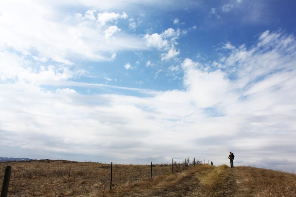 dad and baby in a field on a road trip