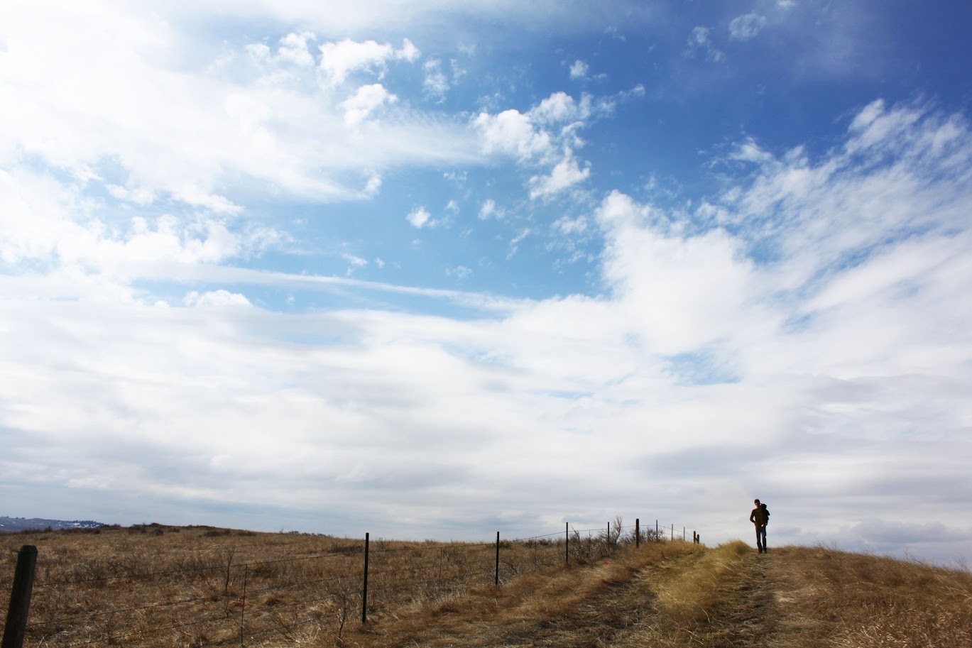 dad and baby standing in field with blue skies