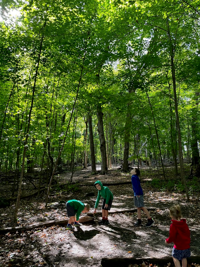 four homeschool children in the woods