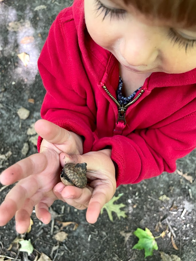 toddler girl holding acorn