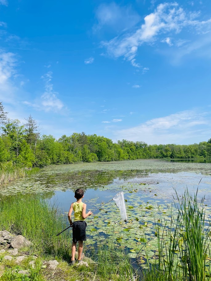 homeschool boy holding net standing by pond