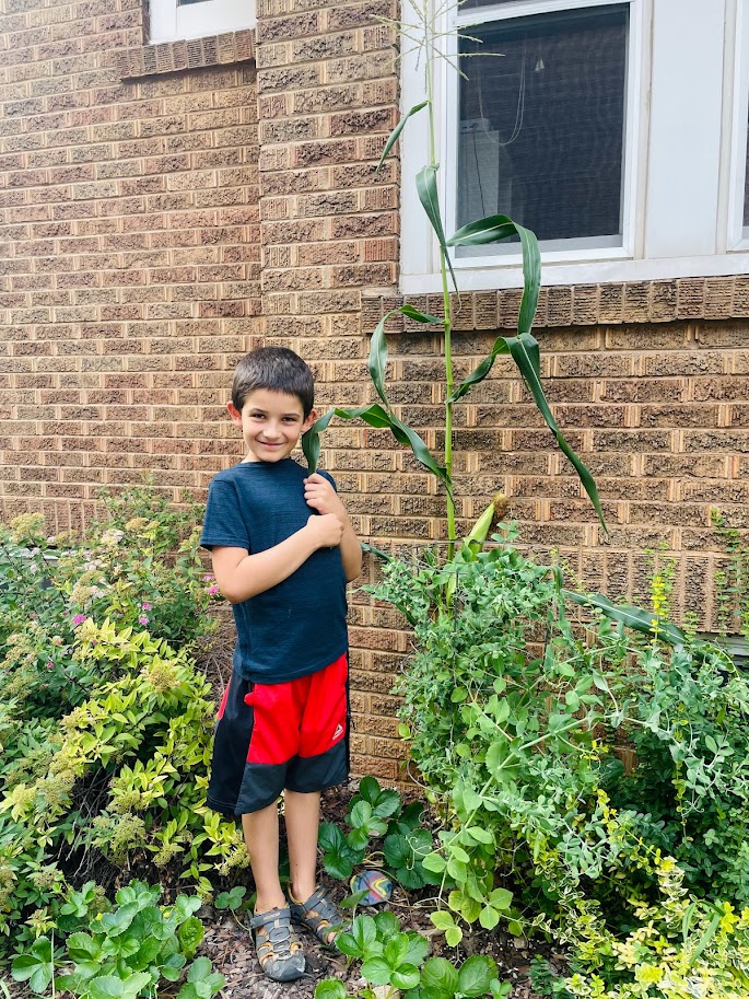 homeschool boy standing in his garden