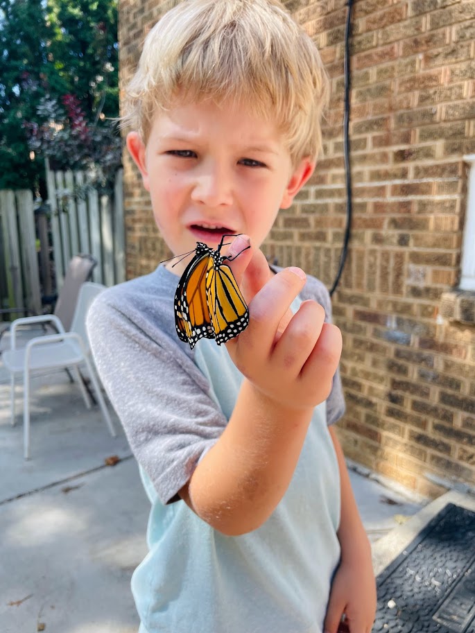 homeschool boy holding monarch butterfly