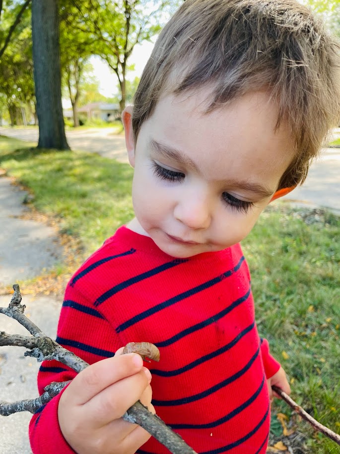 toddler boy holding a stick and cicada