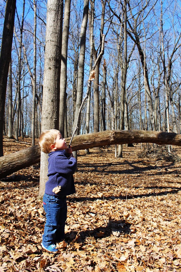 young boy playing in woods