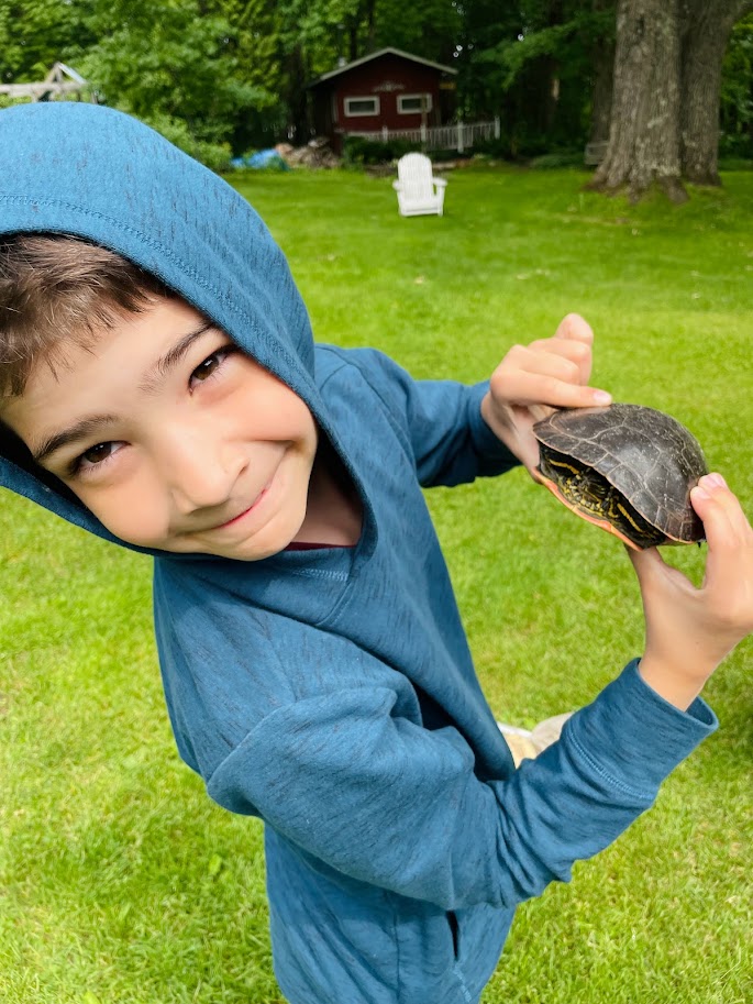 curious homeschool boy explores a turtle