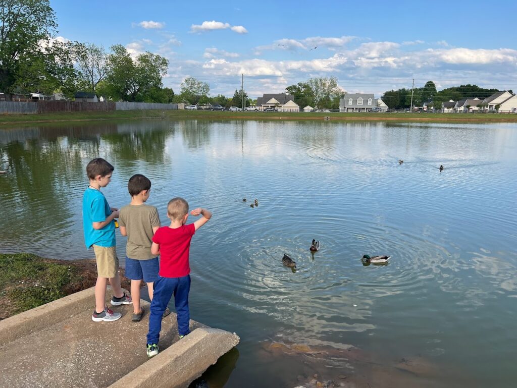 three homeschool boys feeding ducks