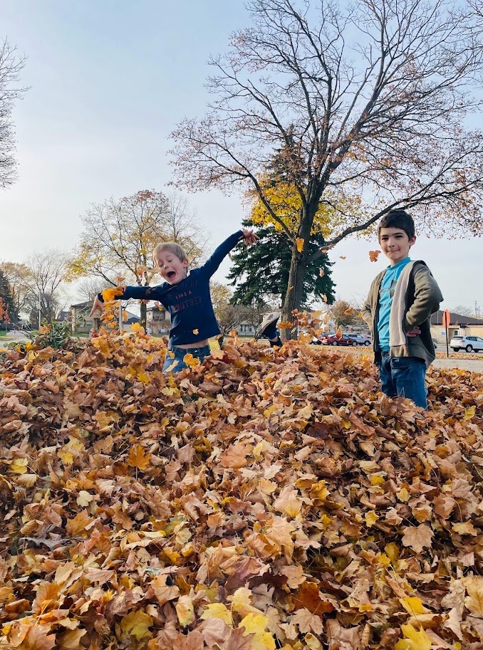 homeschool boys jumping in leaves