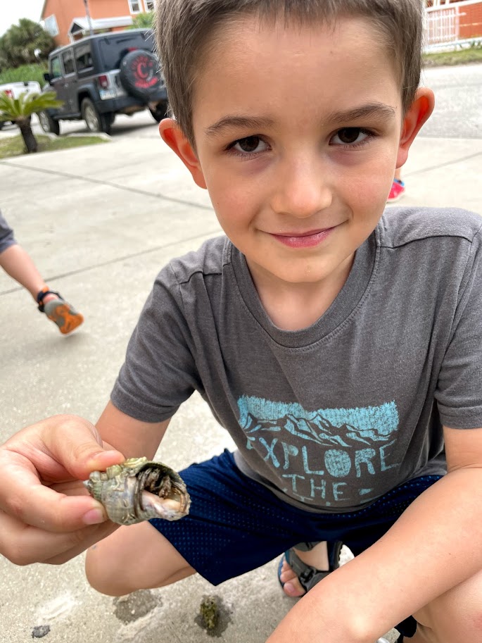 young boy in summer holding crab