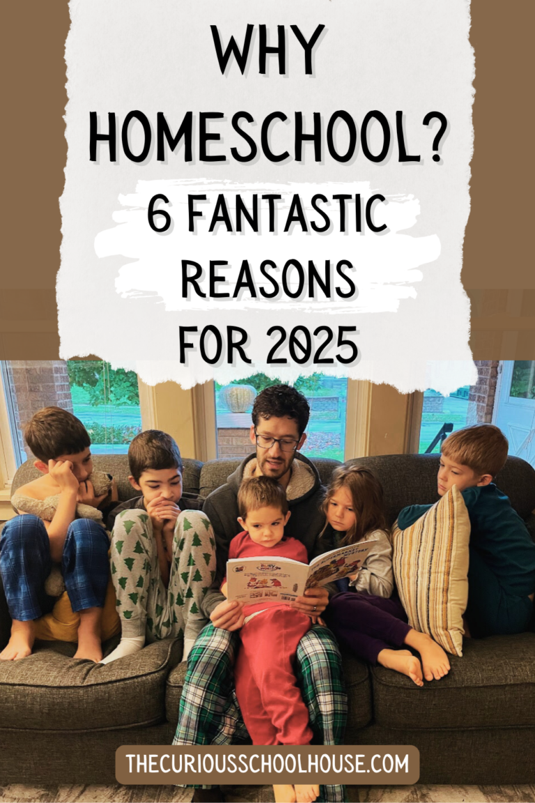 Why Homeschool: 6 Fantastic Reasons For 2024