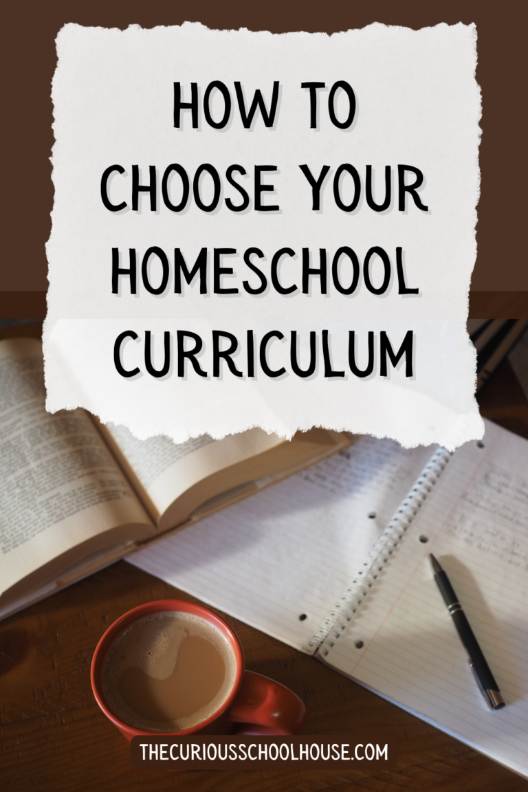 How to Choose Your Homeschool Curriculum (and keep your sanity)