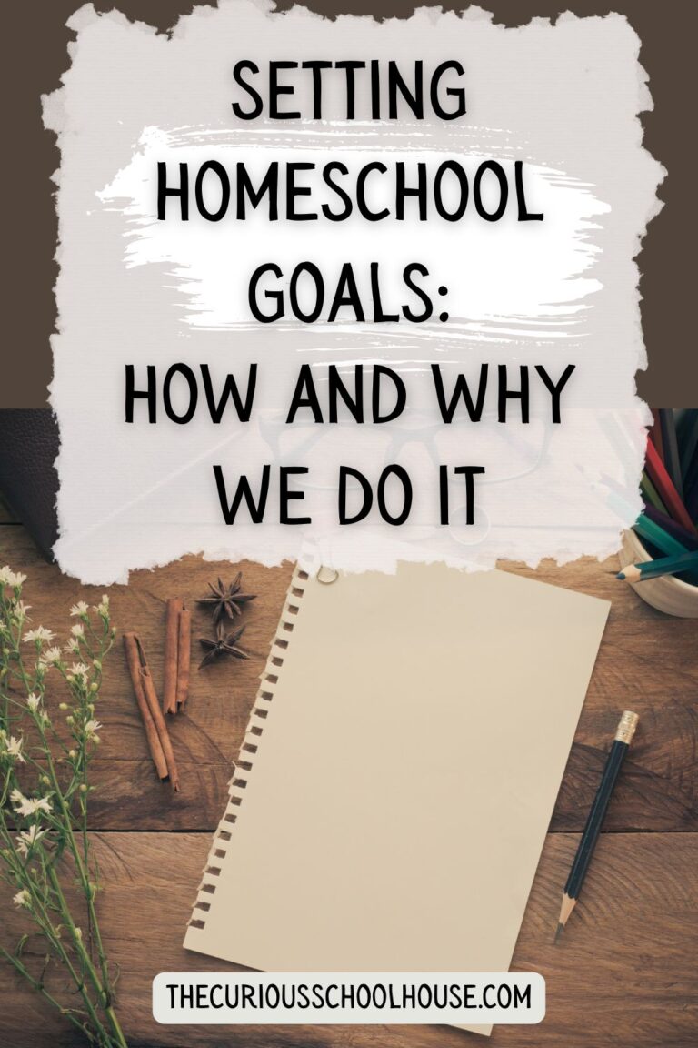 Setting Homeschool Goals: 3 Practical Goals for 2022