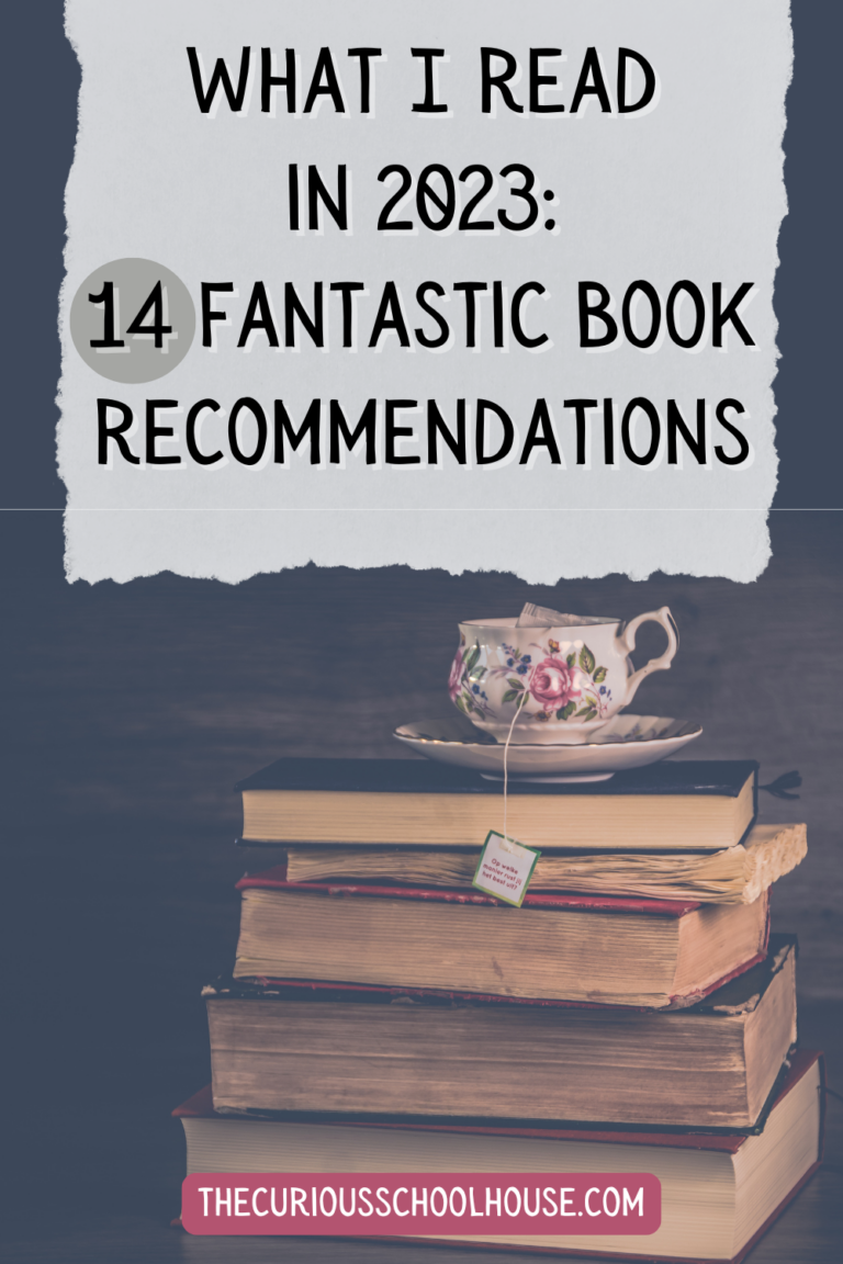 What I Read In 2023: 14 Fantastic Book Recommendations