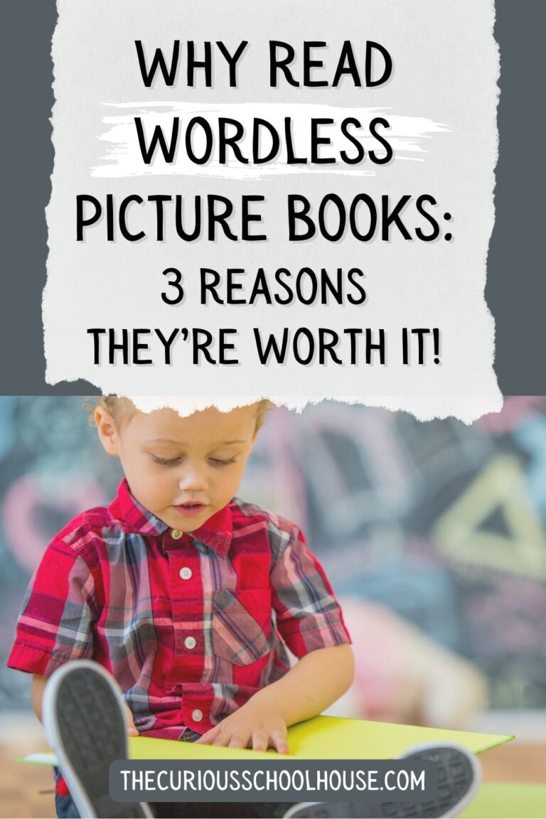 Why Read Wordless Picture Books: 3 Reasons They’re Worth It