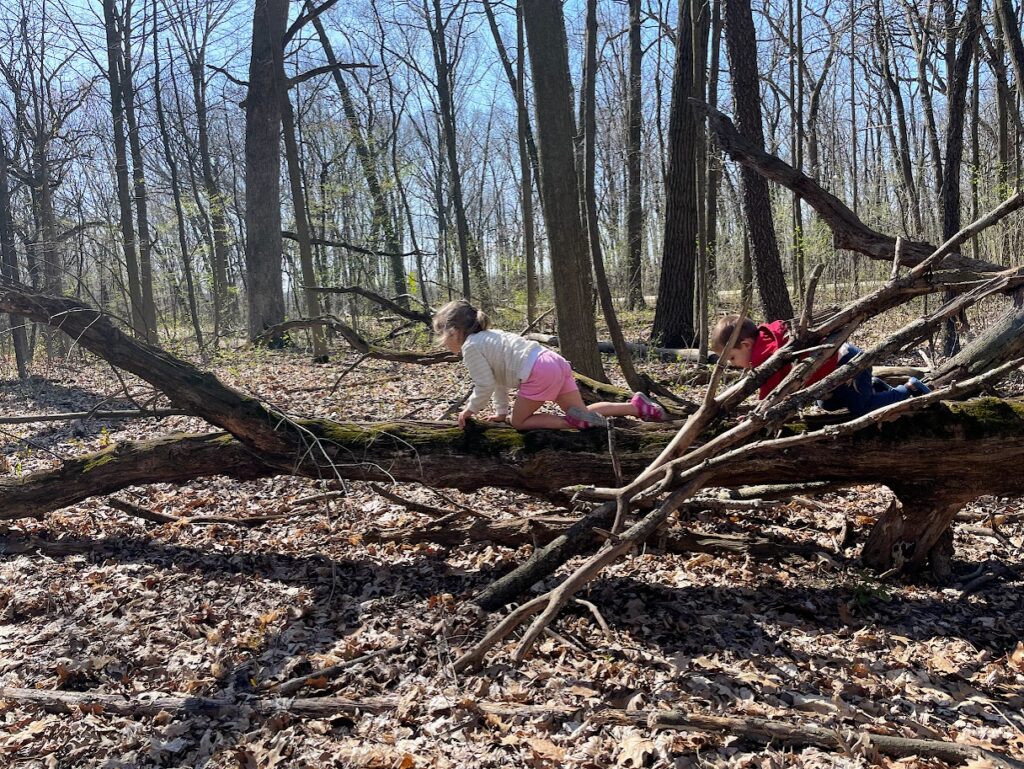 homeschool girl and toddler boy climbing on a fallen tree in the woods