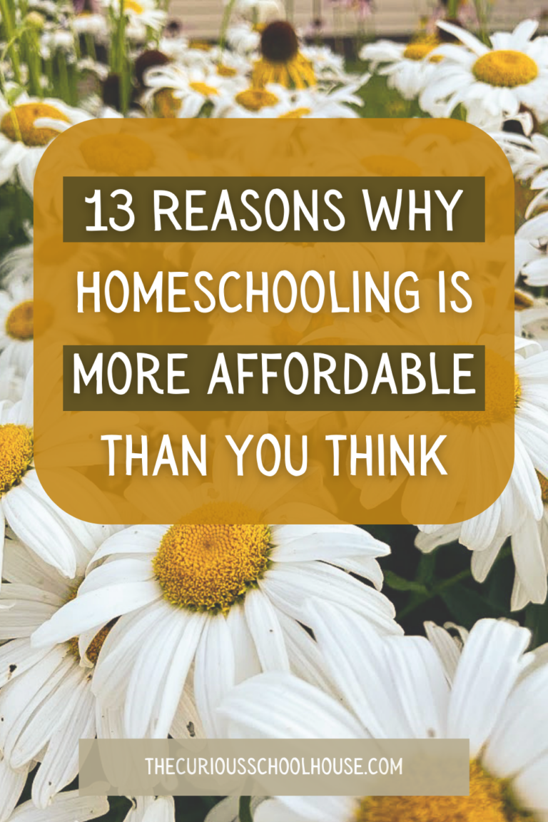 MYTH: Homeschool is Too Expensive! (13 Reasons This is False)