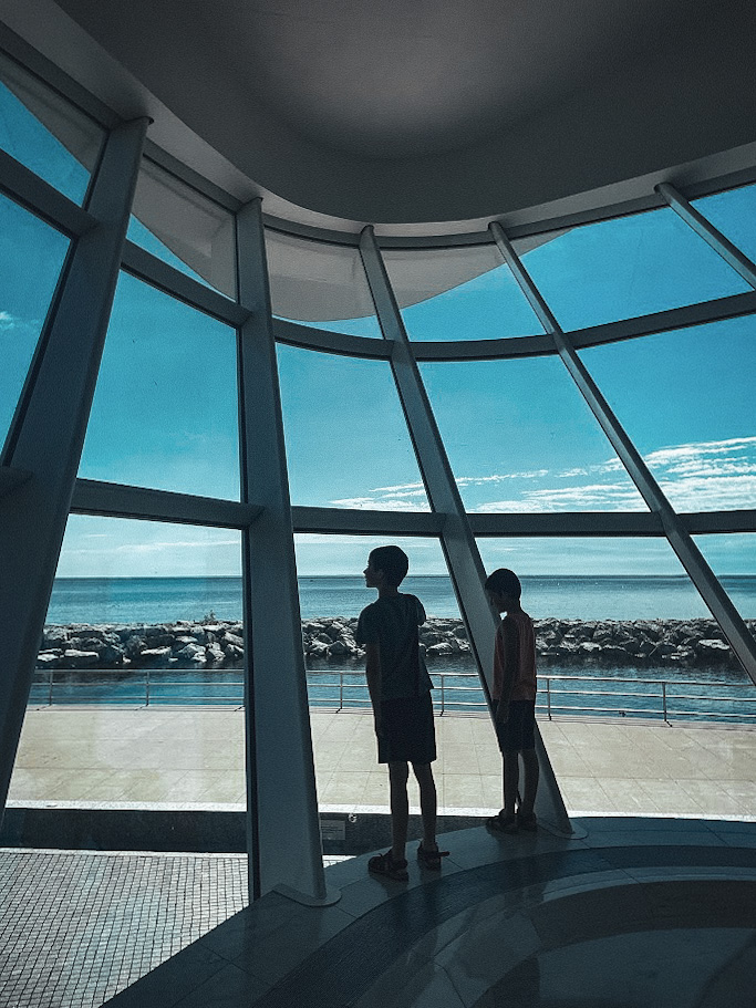 two homeschool boys looking at lake michigan