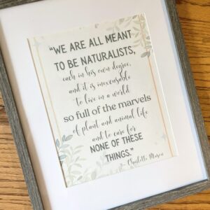 charlotte mason naturalists quote printable