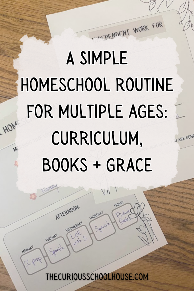 Simple Homeschool Routine for Multiple Ages: Curriculum, Books, + Grace