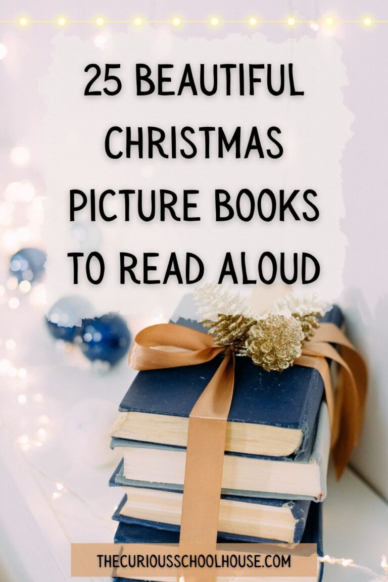 25 Beautiful Christmas Picture Books to Read Aloud in 2024