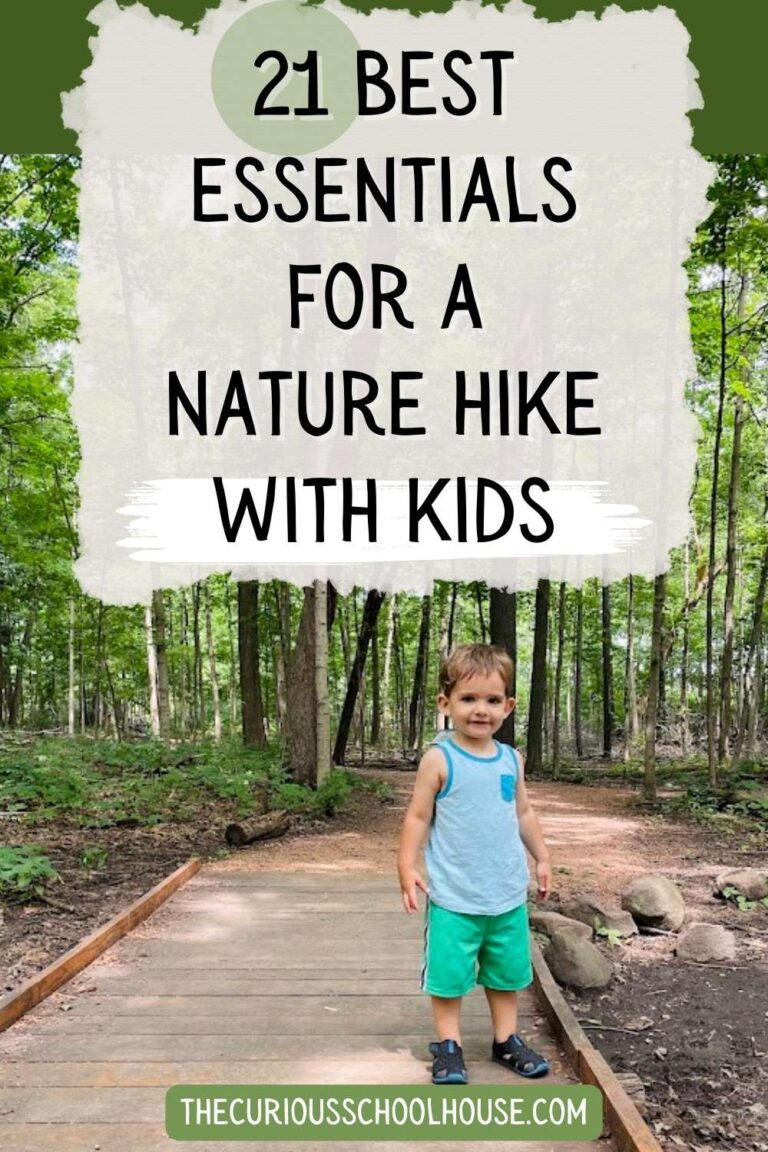 21 Best Essentials for a Nature Hike With Kids