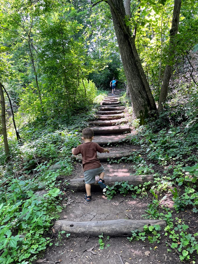 homeschool toddler boy climbing up log steps in the woods