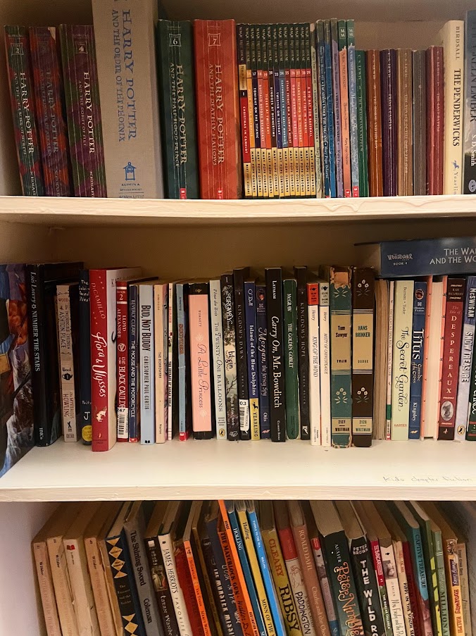 a homeschool bookshelf filled with living books for kids