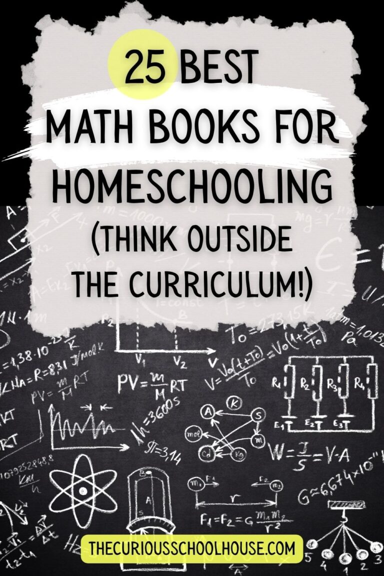 25 Best Math Books for Homeschooling (Think Outside the Curriculum!)