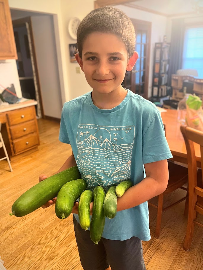 homeschool boy holding six large cucumbers