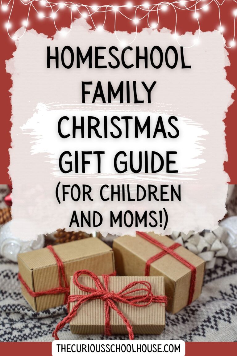 Homeschool Family Christmas Gift Guide (for Children and Moms!)