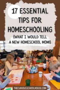 17 Essential Tips for Homeschooling (if you want to be successful)