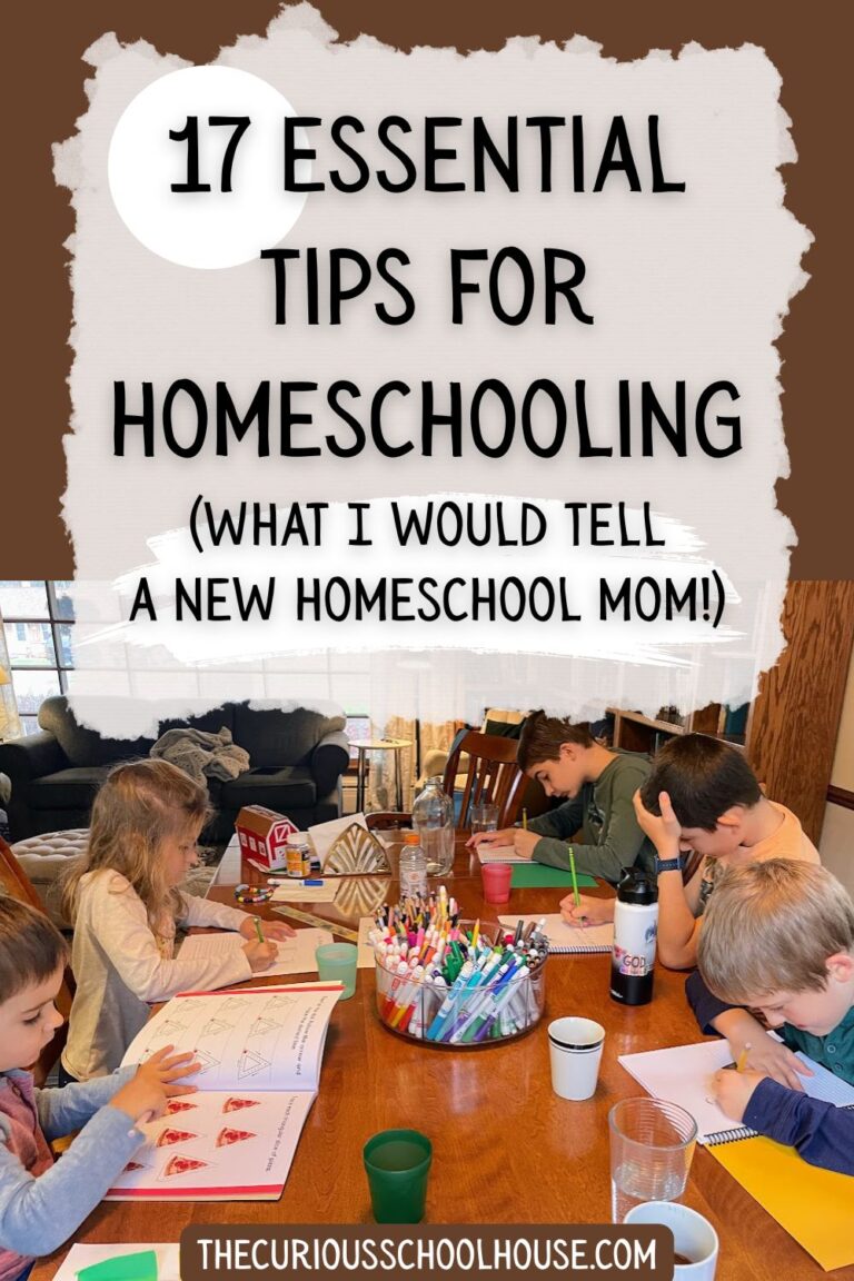 17 Essential Tips for Homeschooling (if you want to be successful)