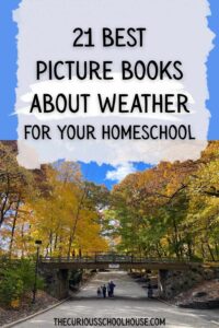 best picture books about weather