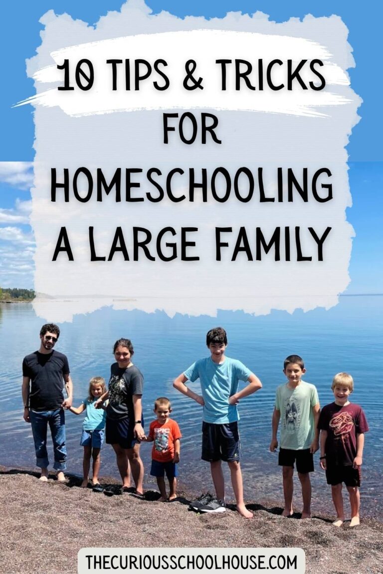 10 Tips & Tricks for Homeschooling a Large Family