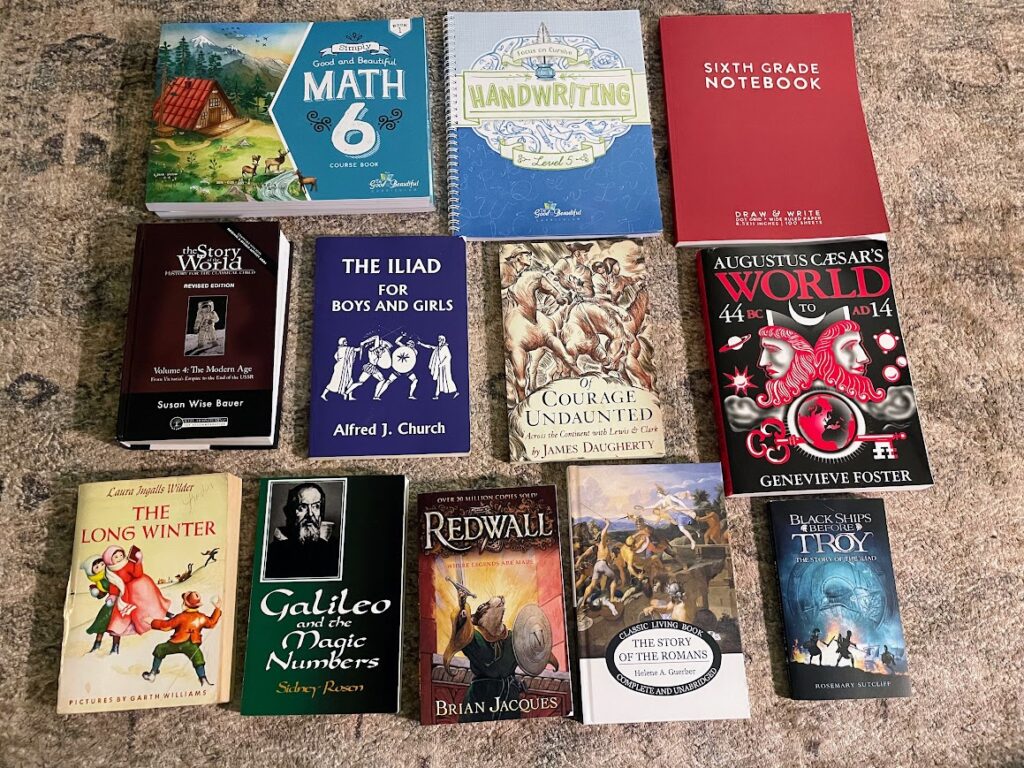 homeschool books and curriculum for sixth grade boy