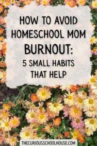 how to avoid homeschool mom burnout