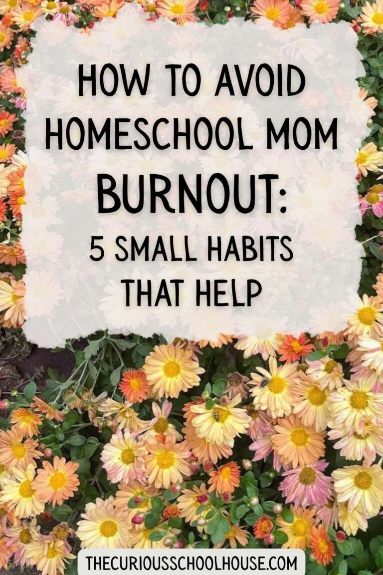 How to Avoid Homeschool Mom Burnout: 5 Small Habits that Help